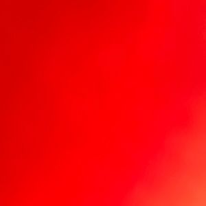 Meet your Posher, Nico